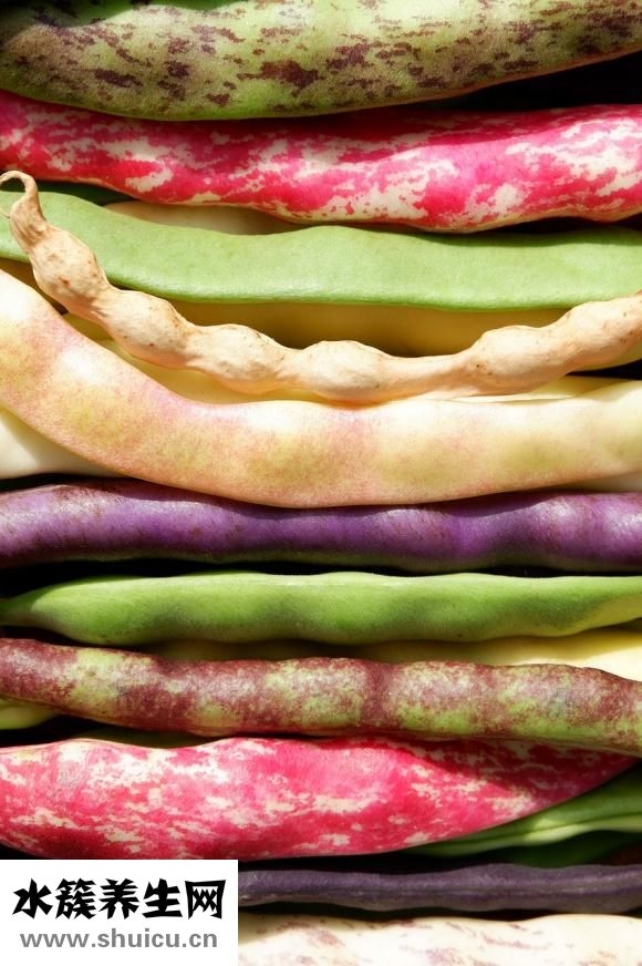 夏天煲什么湯好