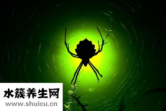 什么是社交恐懼癥