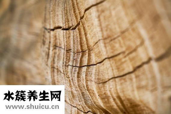 假體隆鼻材料有哪些