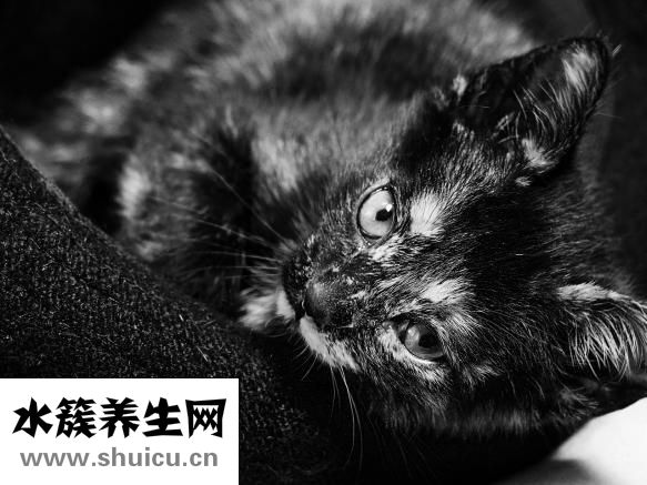 眼部細紋怎么去