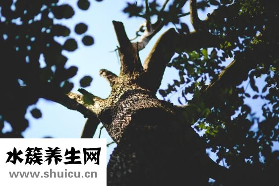 睡眠不好怎么調理