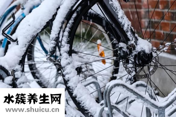 什么是頭發(fā)種植