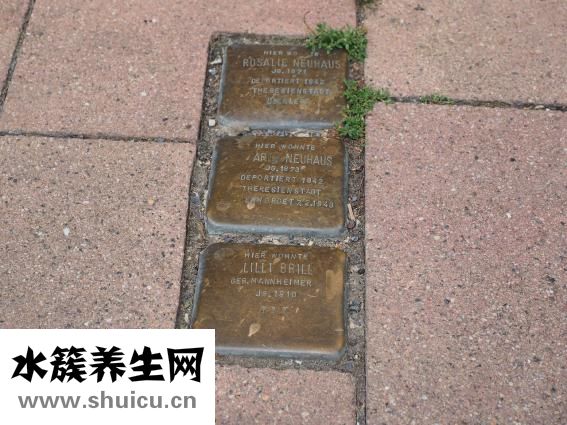 什么是非法同居