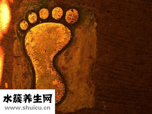 大閘蟹怎么清洗