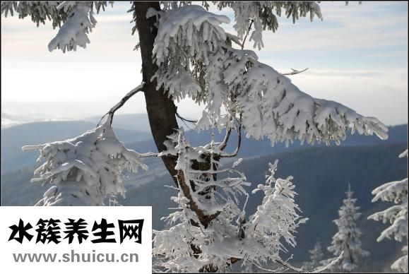 人體正常溫度是多少