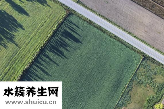 毛孔太大怎么辦