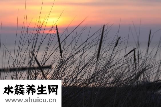 精神分裂癥怎么治