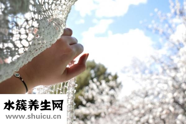 怎么治療前列腺炎