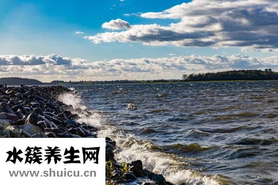 如何評價李鴻章