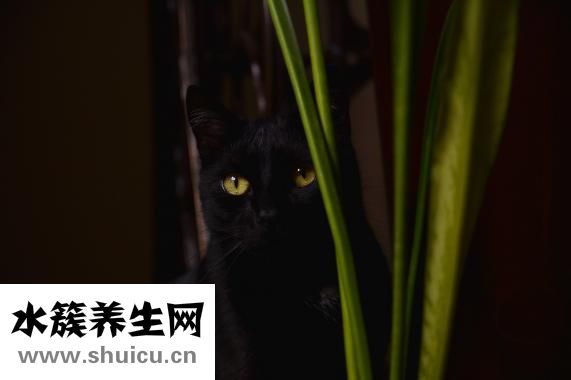 如何去眼部皺紋