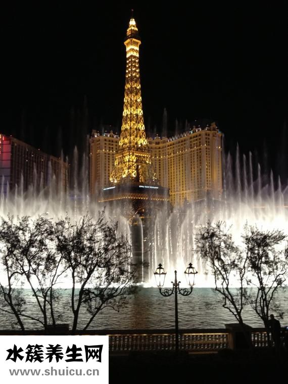 明星都在哪里整形