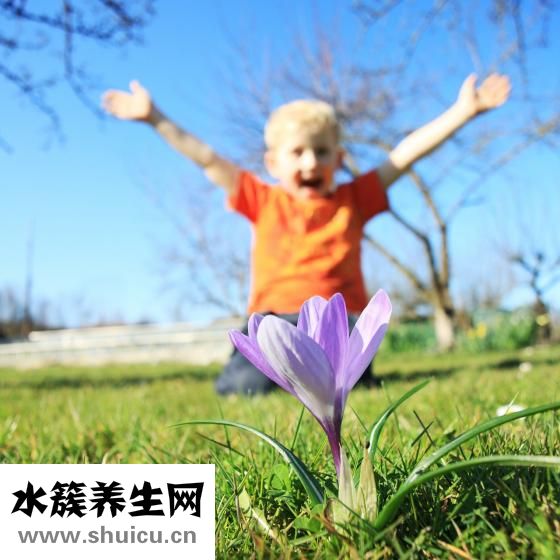 出生證明怎么開