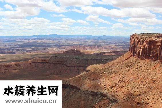 如何治療皮膚過敏