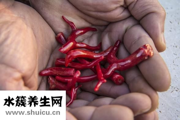 如何修復紅血絲