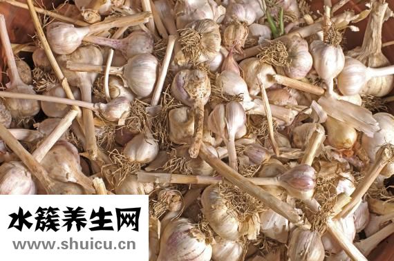 早上起來口臭怎么辦