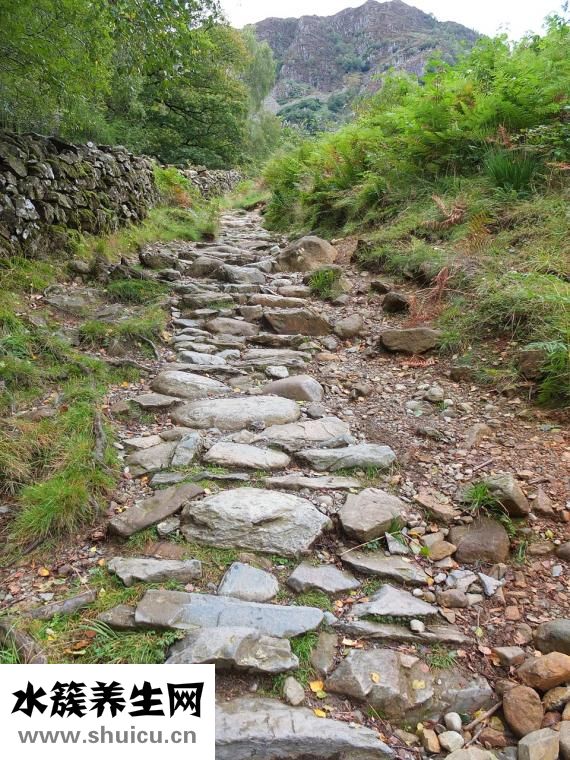 腳踝扭傷怎么辦