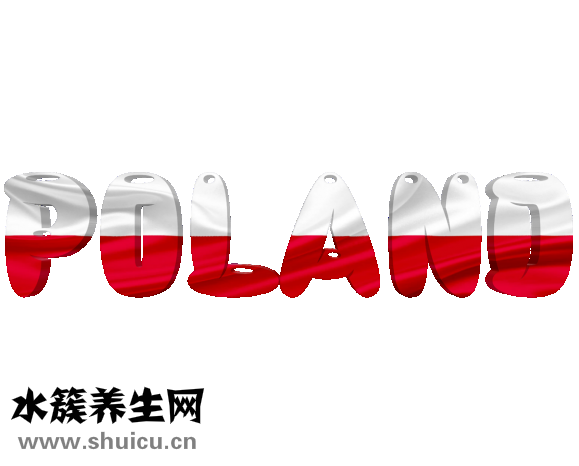 神經衰弱吃什么好