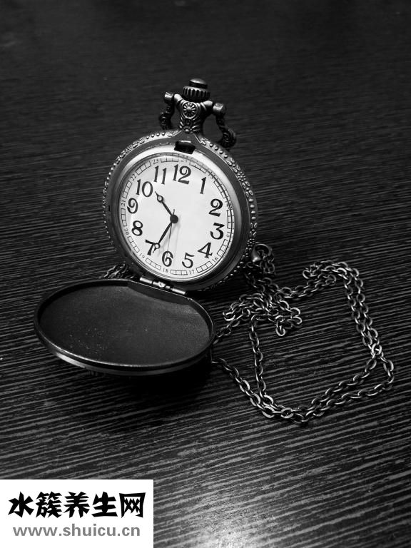 吃柿子不能吃什么