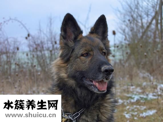 鼻子干燥怎么辦