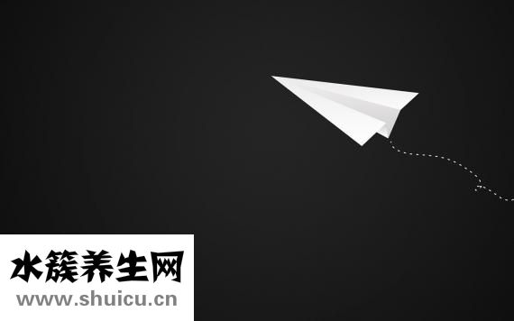 白色液體是什么