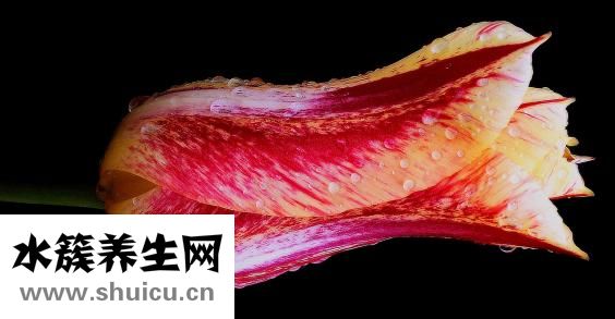 黃褐斑如何去掉