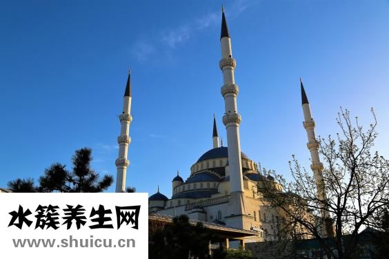 如何評價李鴻章