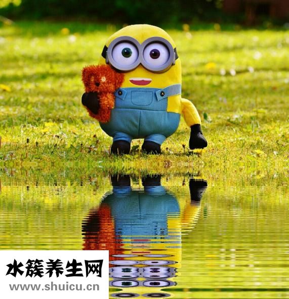 貝親奶嘴多久換一次