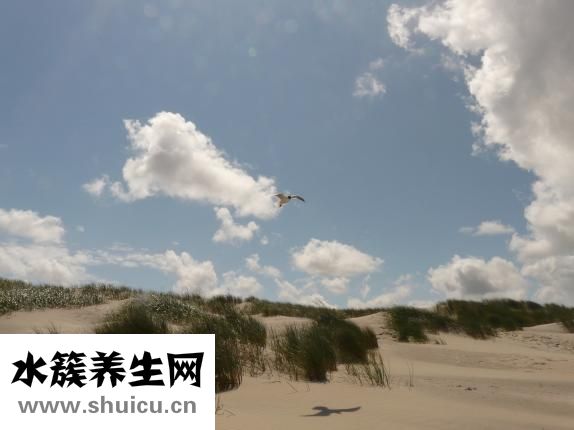 喉嚨痛咳嗽怎么辦