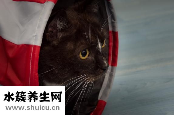 怎么去除紅血絲