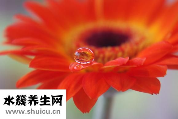 怎么讓毛孔變小