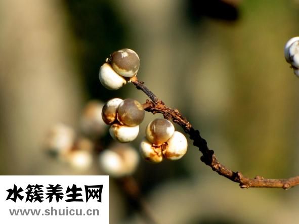 手發(fā)麻是什么原因