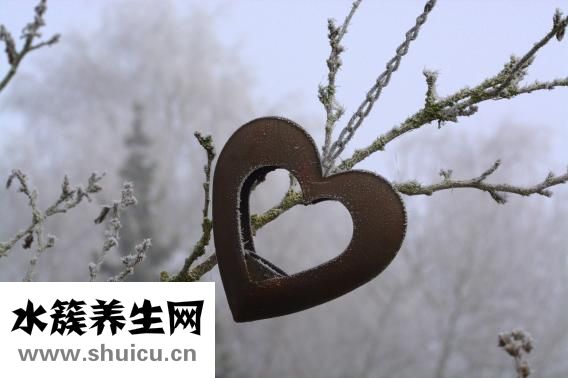 核磁共振是什么