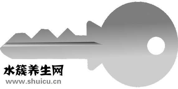 登革熱是什么病