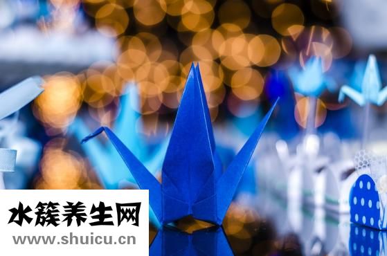 流產后注意什么