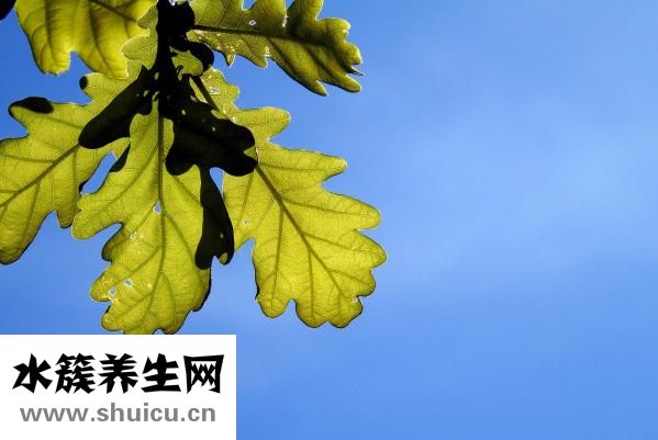 臉上過敏癢怎么辦