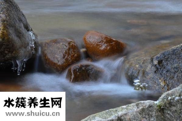 過敏性鼻炎如何治療