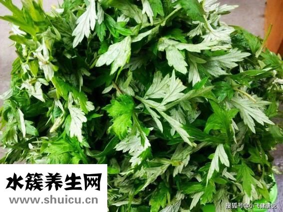 艾葉有什么功效