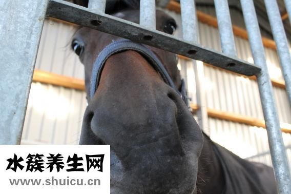 怎么讓毛孔變小