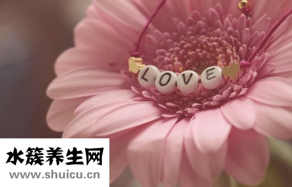 母親節什么時候