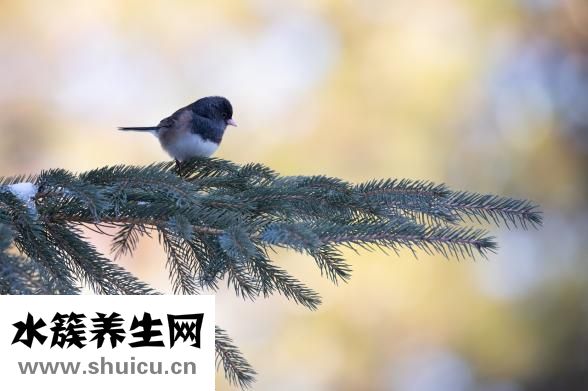 手發(fā)麻是什么原因