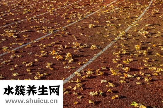 吃什么東西減肥