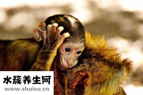 寶寶吐奶厲害怎么辦