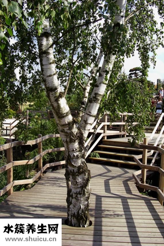 怎么去除川字紋