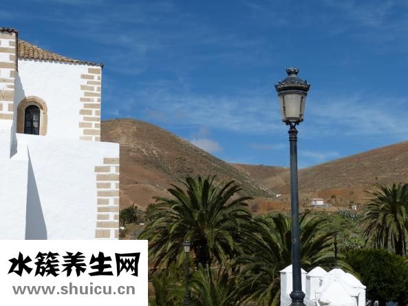 怎么用烤箱烤紅薯