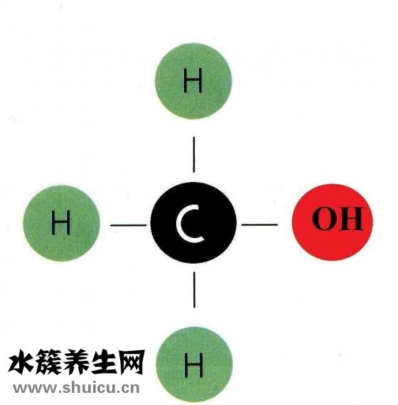 艾葉有什么作用