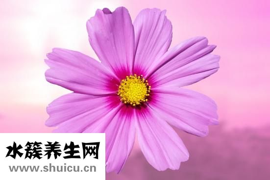 剪什么發型好看