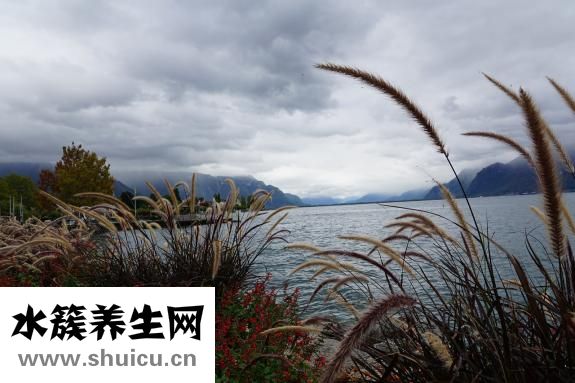 婦科檢查有哪些項目