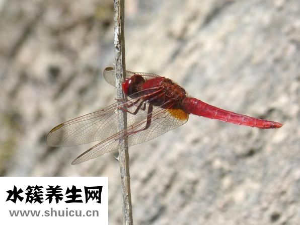 臉上長痘痘該怎么辦