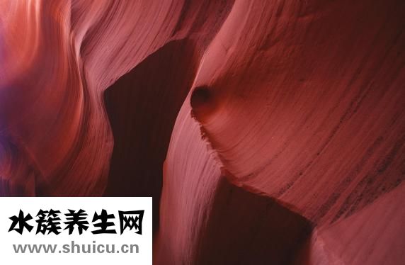 牙縫變大怎么辦