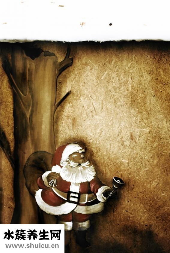 老年人適合吃什么